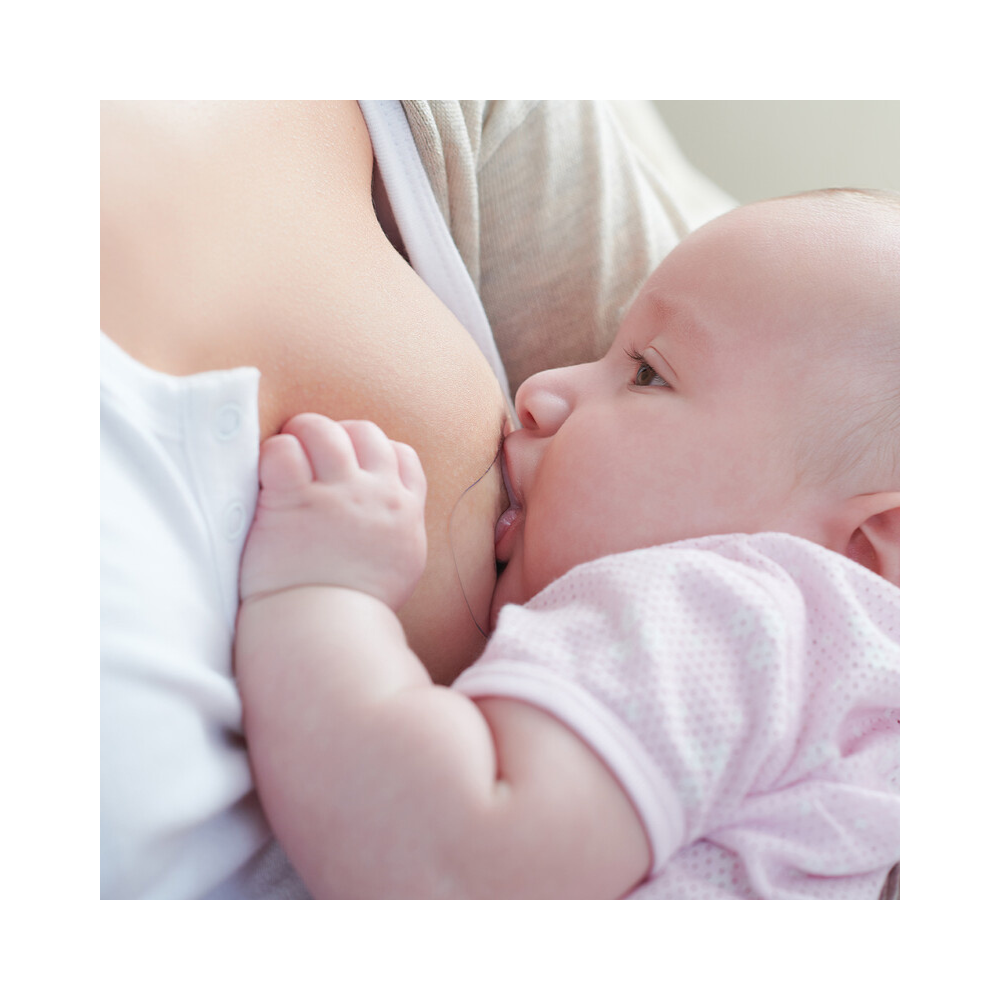 Protector de Pezón de Silicona (1 und)